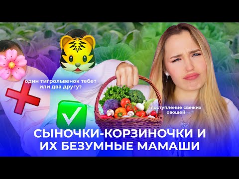 Видео: СЫНОЧКИ-КОРЗИНОЧКИ И ИХ БЕЗУМНЫЕ МАМАШИ // БУКЕТ ДАРЮ МАМЕ, А ОДНУ РОЗУ ЖЕНЕ // ИН*ЕСТ ДЕЛО СЕМЕЙНОЕ