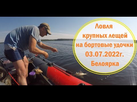 Видео: Крупные лещи на бортовые удочки, Белоярка 03.07.2022