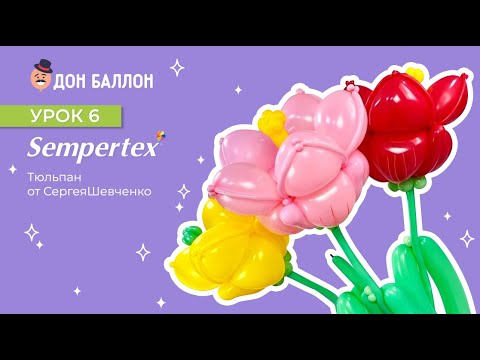 Видео: Урок 6. Тюльпан от художника по воздушным шарам Sempertex Сергея Шевченко