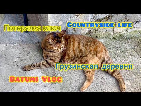 Видео: Batumi Vlog. Грузинская деревня. Вот что значит старые замки!!! Ну и крепость!