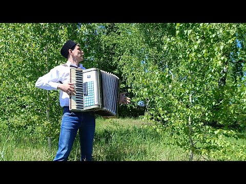 Видео: Берёзка