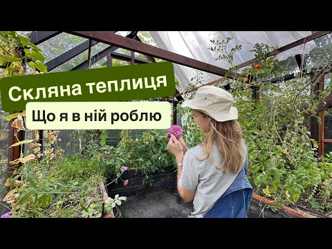 Видео: Садовий будинок або скляна теплиця. І що я в ньому роблю #теплиця #greenhouse