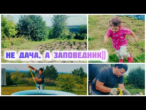 Видео: Почти поймали 😆 зайца 🐰 + Бассейн, огород, верстак! 69  выпуск