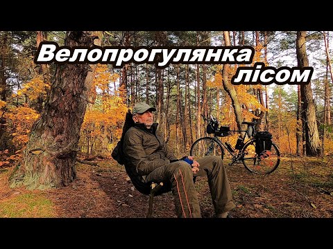 Видео: Осінні видозміни.  Небезпечна знахідка.  Велопрогулянка лісом
