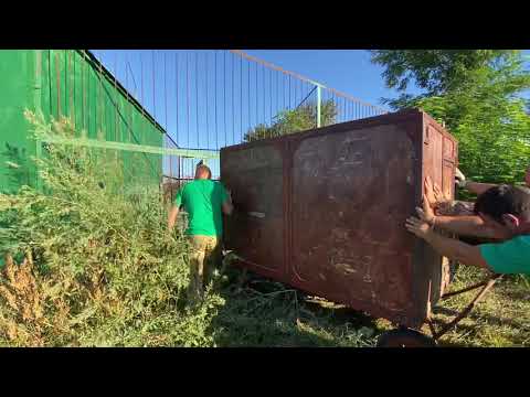 Видео: Выпуск первых суматранских тигров в ОГРОМНЫЙ ВОЛЬЕР !