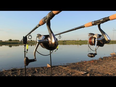 Видео: Рыбалка в Августе! Ночной Белый Амур,Сазан! Это было феерично!