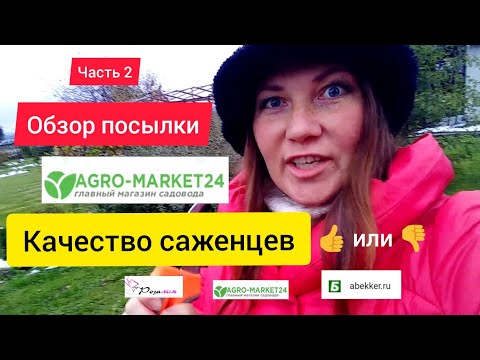 Видео: ⚫Где купить саженцы /Агромаркет 24 отзывы /Распаковка и обзор посылки / Часть2 / Агромаркет