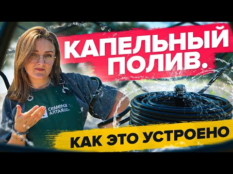 Видео: В ЭТО СТОИТ ВЛОЖИТЬСЯ! Капельный полив