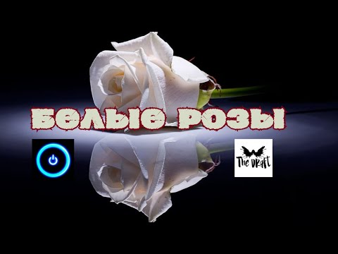 Видео: НА АНГЛИЙСКОМ: Белые Розы-2023 (Ласковый Май remix)