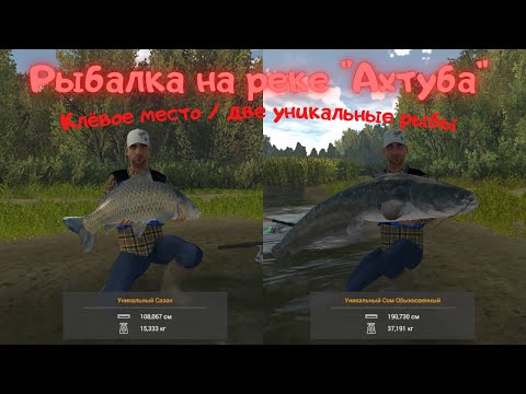 Видео: Fishing Planet | МЕСТО ДЛЯ РЫБАЛКИ НА АХТУБЕ | Уникальный сом, уникальный сазан, судак, щука, лещ.