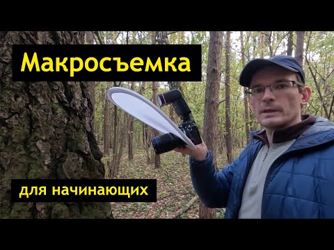 Видео: Макросъемка для начинающих - советы и примеры