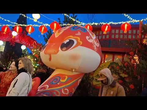 Видео: 1 февраля 2025 г.