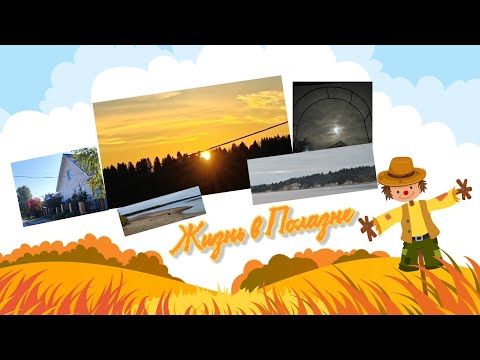 Видео: Жизнь в Полазне, октябрь 2025 года.
