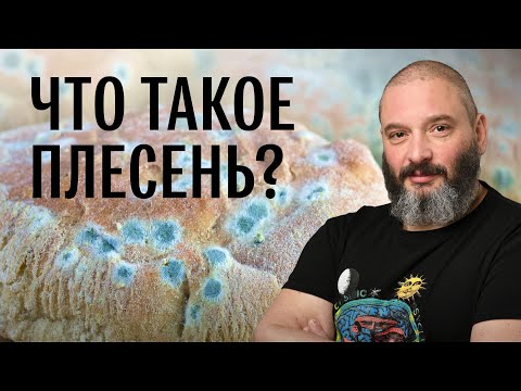 Видео: Плесень. Есть ли шансы у человечества? Михаил Вишневский