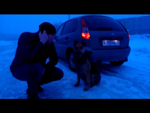 Видео: Обзор Lada kalina, тест-драйв, Обзор 2016.