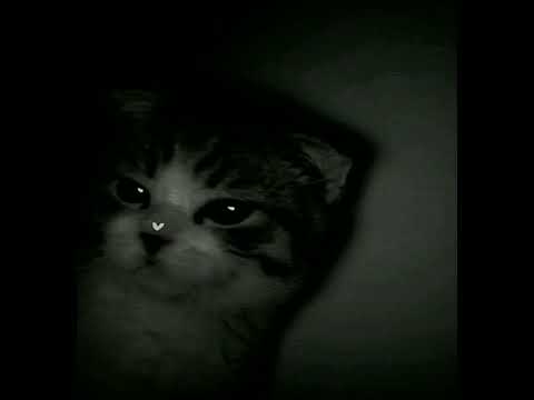 Видео: TERNOVOY - Домофон (sped up/nightcore)