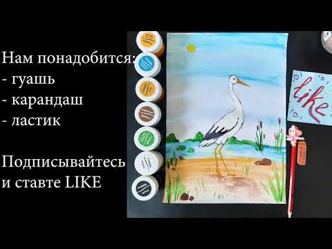 Видео: Рисуем Аиста ( простые рисунки)