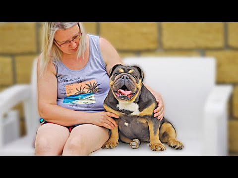 Видео: Мы отказались от Лизи. Она не нужна! Кинг стал мужчиной... Дважды! Вива вот-вот родит!