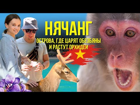 Видео: Северные Острова НЯЧАНГА. Остров Орхидей и Остров Обезьян. Экскурсия Вьетнама 2024