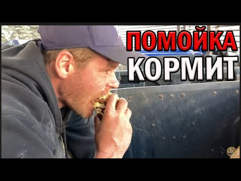 Видео: РадиоБашка Помойка кормит | База Кормит | Стас Аскет