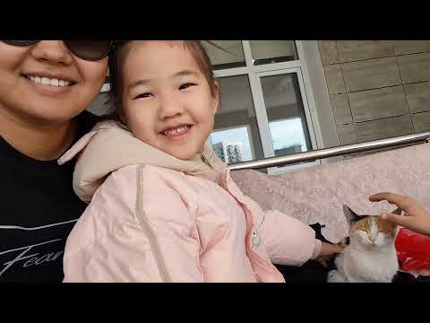 Видео: Қайырлы таң,  таңғы вайб🌹🌹🌹🌹