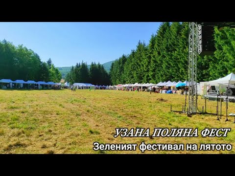Видео: УЗАНА ПОЛЯНА ФЕСТ 2025 🌿 Най-зеленото събитие в сърцето на България | Габровски Балкан