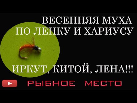 Видео: Мушка Морковка, простая, проверенная временем по хариусу и ленку.