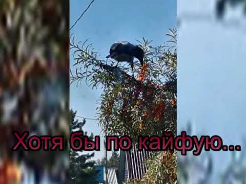 Видео: Снова стою одна