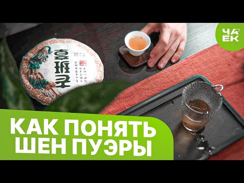Видео: Как понять шен пуэры | разбор от экспертов | как правильно заварить |