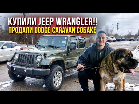 Видео: “Купили Джип… и он сразу сломался! 🛠️ + Караван для собак и долгожданный Wi-Fi”