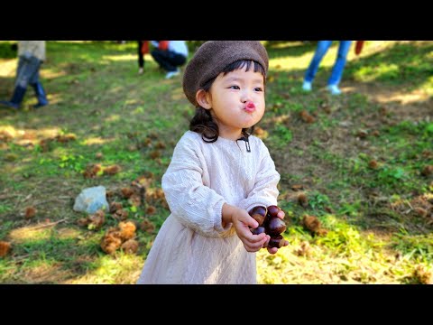 Видео: [SUB] Болтливый РУДА так рад отправиться в горы за каштанами! 🌰