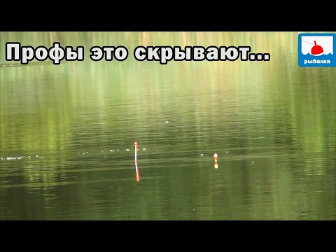 Видео: Это профессионалы никогда не покажут , хотя по моему зря...ЛОВЛЯ КАРАСЯ на озерце, 27 серия
