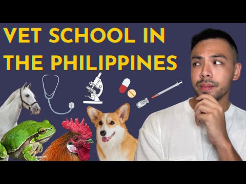 Видео: НЕ ИДИТЕ В ВЕТЕРИНАРНУЮ ШКОЛУ, не посмотрев ЭТО!