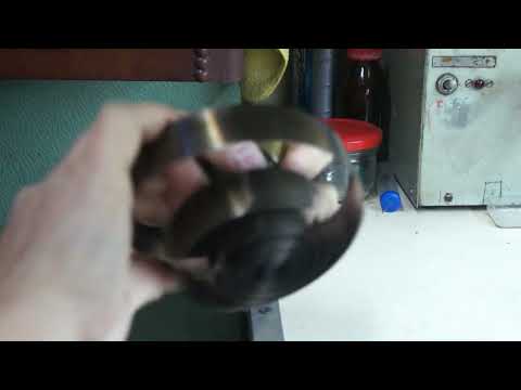 Видео: янтарь с боем4