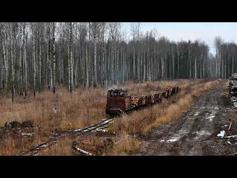 Видео: УЖД Березовского ЛПХ 2