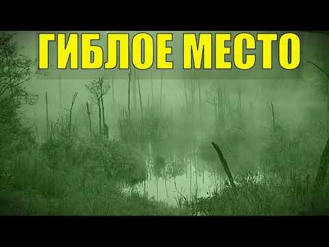 Видео: ДЕД 100 ЛЕТ В ТАЙГЕ ГИБЛОЕ МЕСТО НОЧНОЙ ВИЗИТ на БОЛОТО ТОПЬ РЫБАЛКА ЖИЗНЬ В ЛЕСУ ИЗБУШКА ЛЕСНИКА
