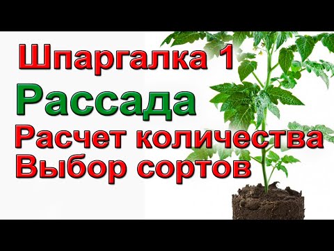 Видео: Сколько рассады надо. Какие сорта.  Шпаргалка 1