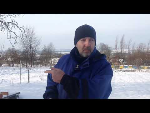 Видео: Зимівля бджіл. (30.12.2019р.)
