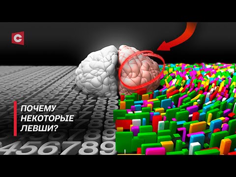 Видео: Леворукость – дар или проклятие? | Чем отличается мозг левшей и правшей | В поисках истины