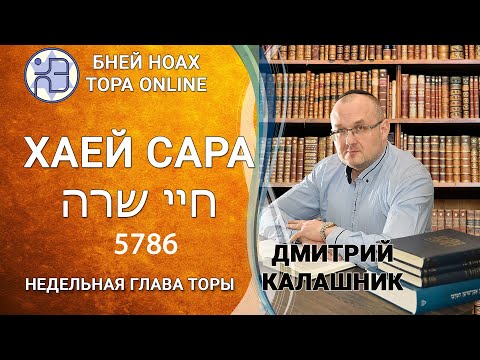 Видео: "Хаей Сара" 5786/2025. Недельные главы Торы - Парашат а-шавуа | Дмитрий Калашник