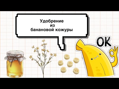 Видео: Как приготовить удобрение из кожуры банана / Лучшее удобрение для растений / Luchek_