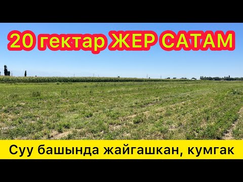 Видео: 20 гектар айыл-чарба ЖЕРИ сатылат ~  Суу башында, топурагы кумгак ~  2,5 гектар БАГАРАСЫ да бар