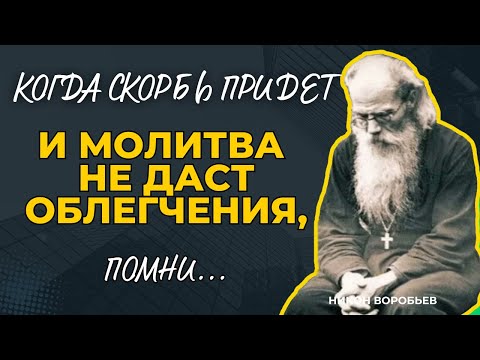 Видео: Когда скорбь придет и молитва не даст облегчения, помни...Никон Воробьев