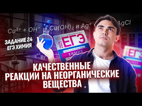 Видео: Все качественные реакции на неорганические вещества. Задание 24 ЕГЭ химия