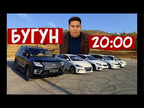 Видео: #0771708050 БИЗДИН номер