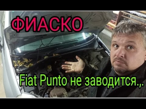 Видео: Fiat Punto не заводится.