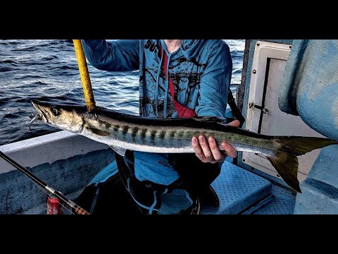 Видео: РЫБАЛКА ВЬЕТНАМ, НЯЧАНГ!! Троллинг на Барракуду, донка в море! Заключительная серия.