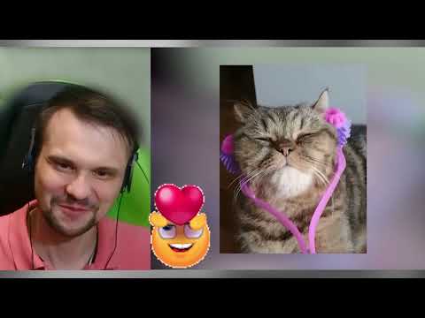 Видео: Я вешу 300 кг! ЧТО БЫЛО ДАЛЬШЕ! История Никки! ▶ СЕЗОН 4