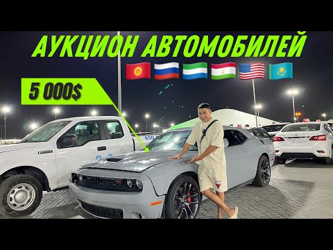 Видео: АУКЦИОН БИТЫХ АВТОМОБИЛЕЙ из Дубая 🇰🇬🇵🇼🇸🇱🇹🇯🇦🇪 во все страны СНГ