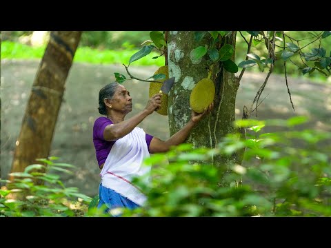 Видео: Нежное карри из джекфрута в керальском стиле | Идичакка карри